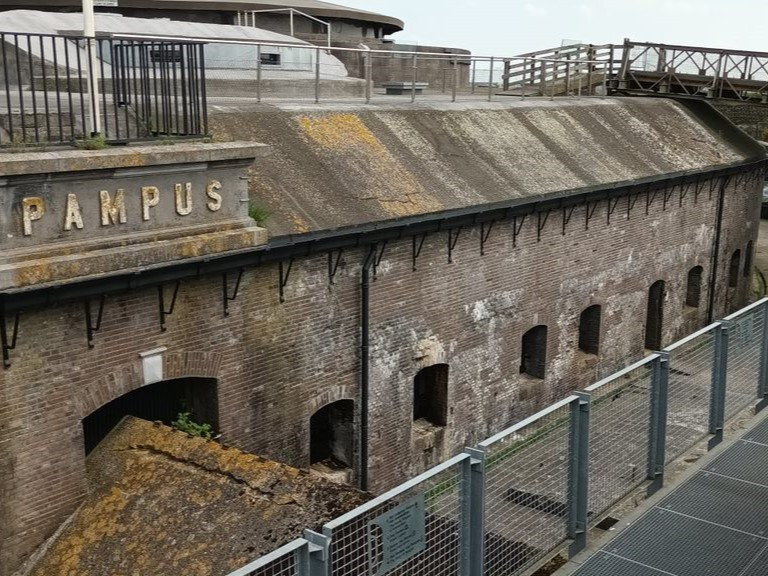 Pampus 29 a